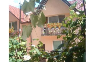Ukrajina Privát Poľana, Eksterijer
